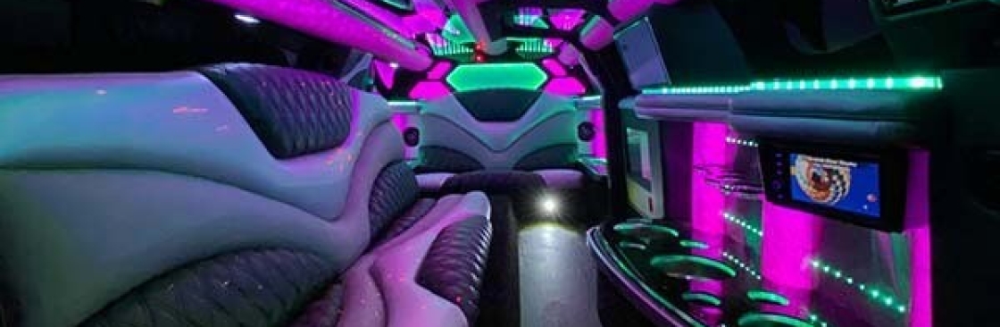 Limousine Boca Raton Cover Image