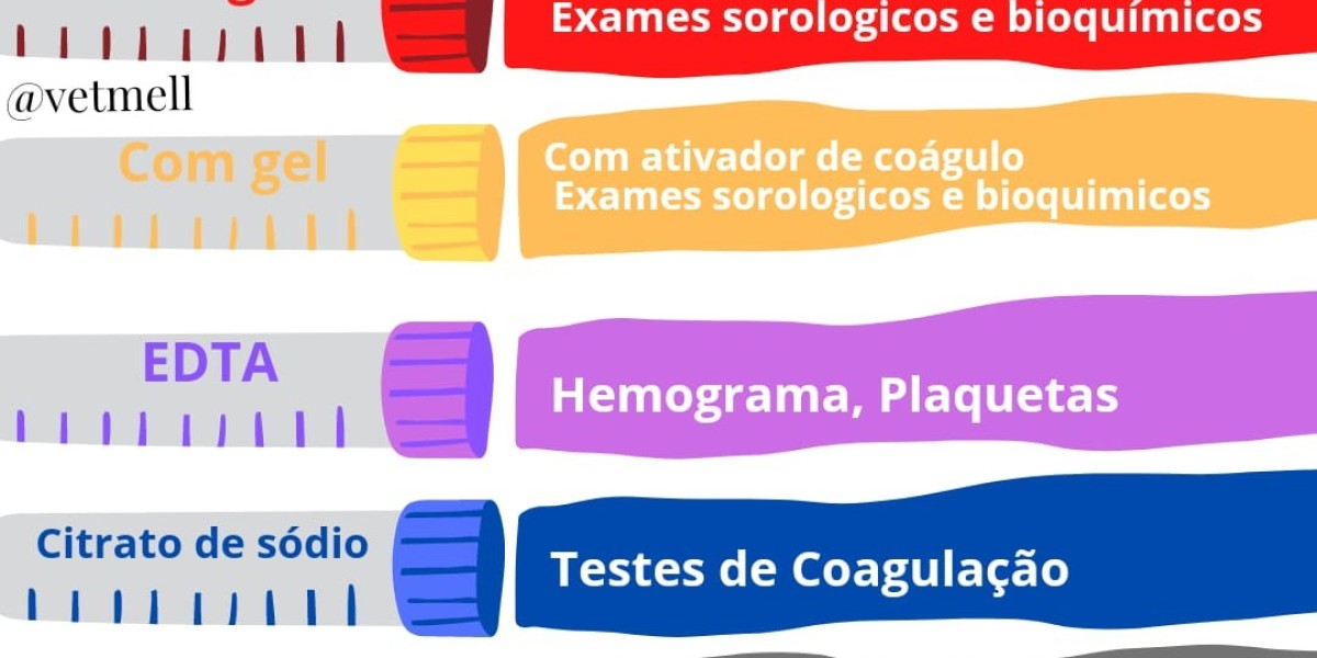 Parvovirose em Cães: Entenda a Importância do Exame e Como Proteger Seu Amigo Peludo