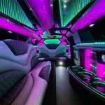 Party Buses Lansing Profile Picture