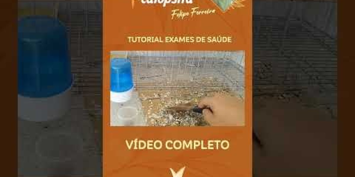 Quando Fazer o Exame PRÉ 3 Veterinário: Entenda a Hora Certa para a Saúde do Seu Pet