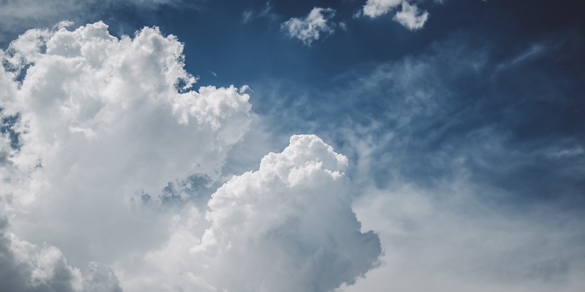 The Role of Digital Ecosystems in Transforming Business Strategies