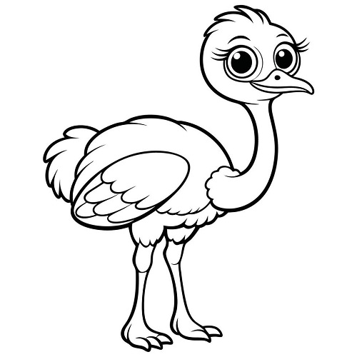Emu Coloring Pages Printable PDF - Coloringonlinefree.com!