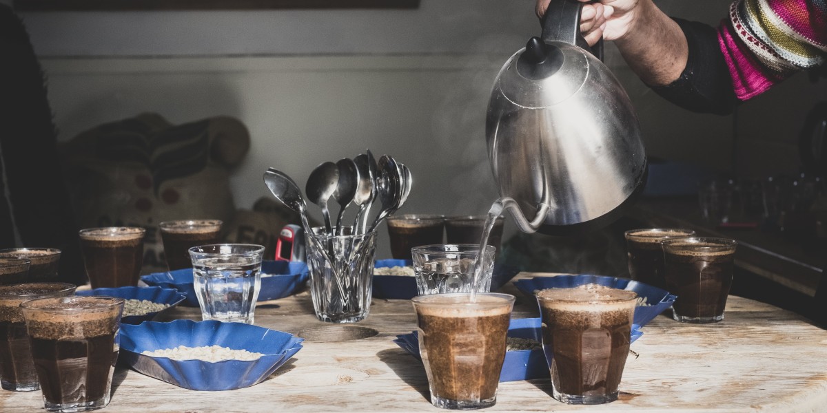 See What Nescafe Coffee Maker Tricks The Celebs Are Utilizing
