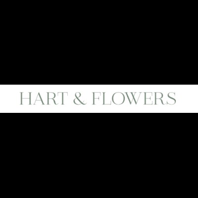 Hart Flowers Profile Picture