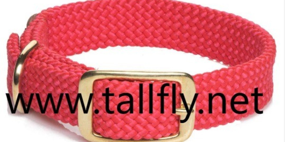 Boost Sales Through Tallfly’s Tech-Integrated Pet Collar Factory Offerings