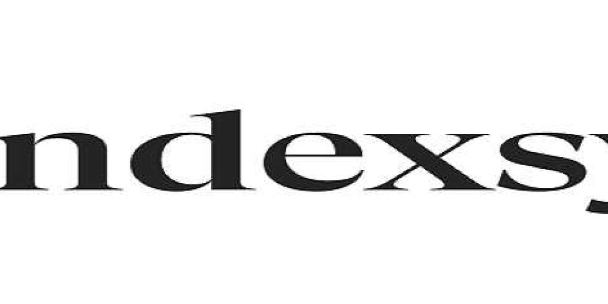 Indexsy - Enterprise SEO Company Toronto