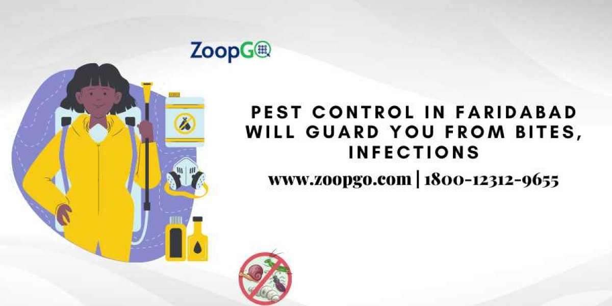 Pest control in Faridabad will guard you from bites, infections