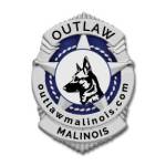 Outlaw Malinois Profile Picture
