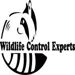 Wildlife Control Experts Profile Picture