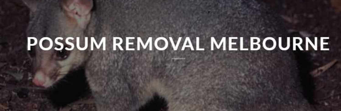 possum removal Cover Image