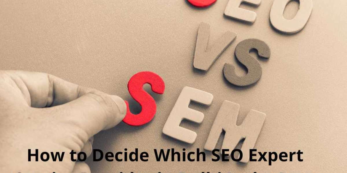 How to Decide Which SEO Expert Service Provider in Delhi Is the Best
