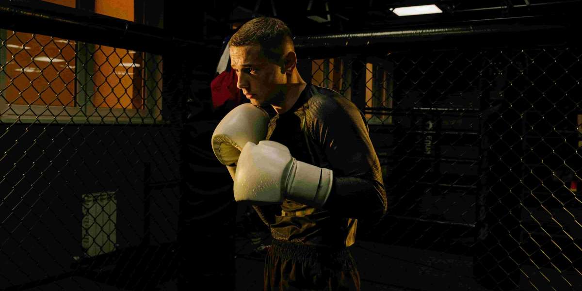 Top 5 Best Boxing Gloves Companies in San Francisco, CA