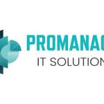 promanageit solution Profile Picture