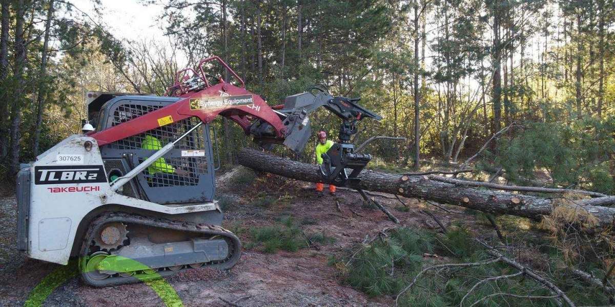 Three Reasons to Hire a Professional Tree Removal Services