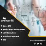 Braincrew Apps Profile Picture
