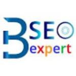 SEO Expert Bangalore profile picture