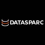 Datasparc Inc Profile Picture