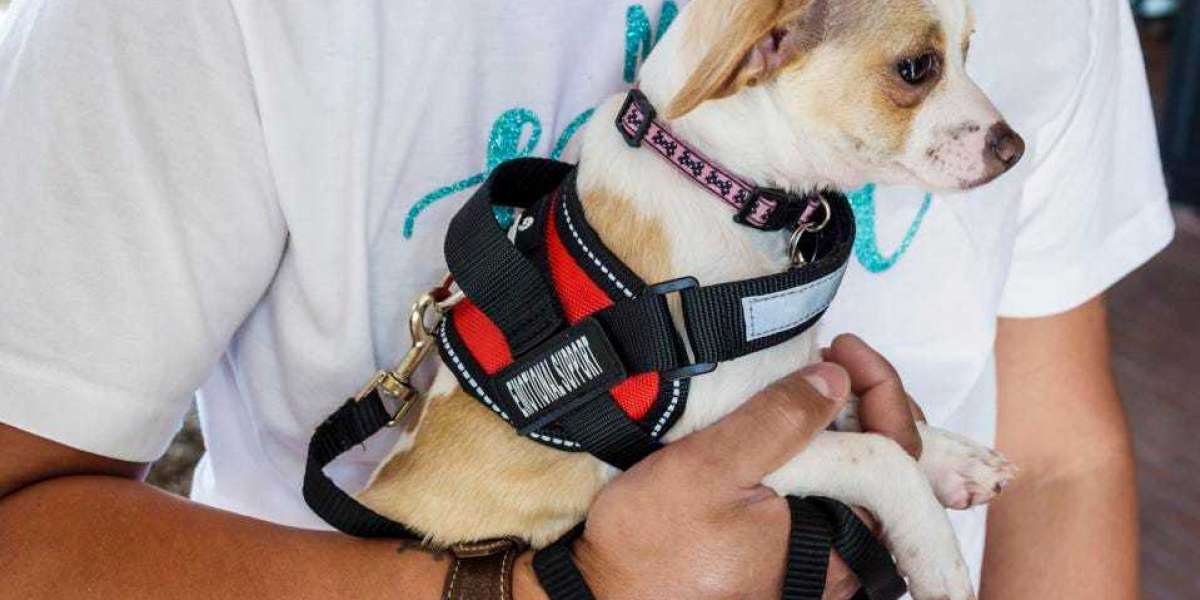 The Ultimate Guide To Certify an Emotional Support Dog