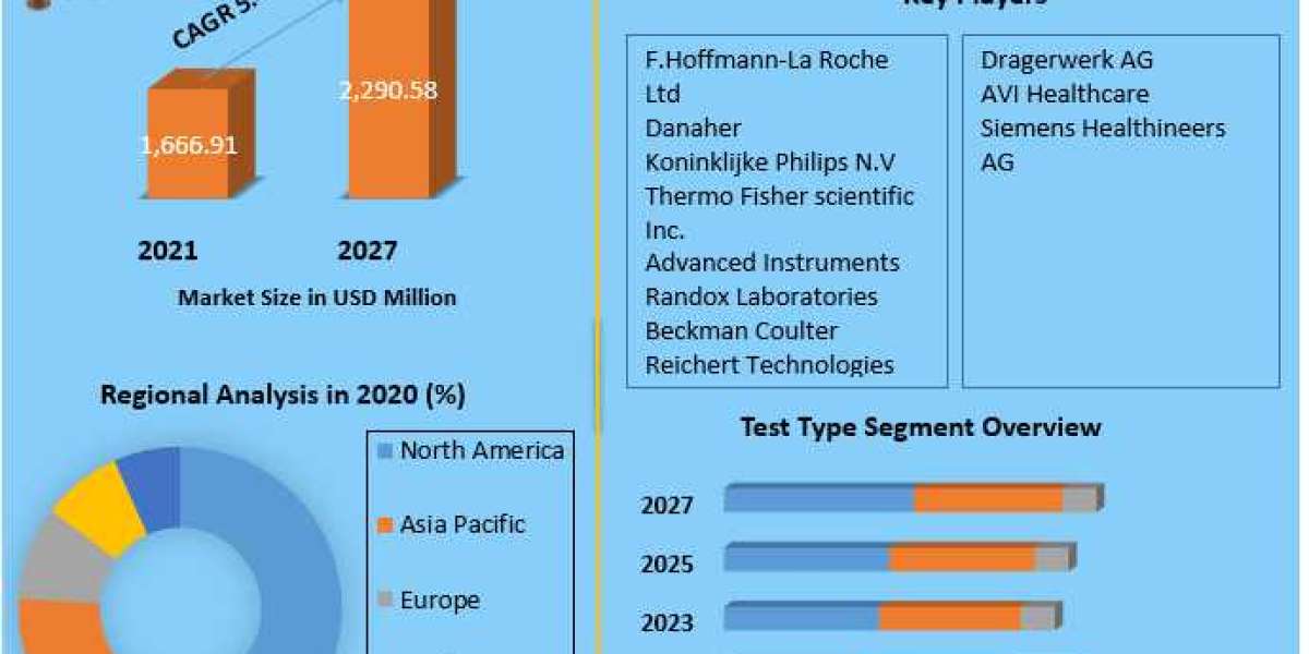 Global Bilirubin Blood Test Market Size, Share, business, strategies, emerging, future, Growth Drivers and Forecast 2029