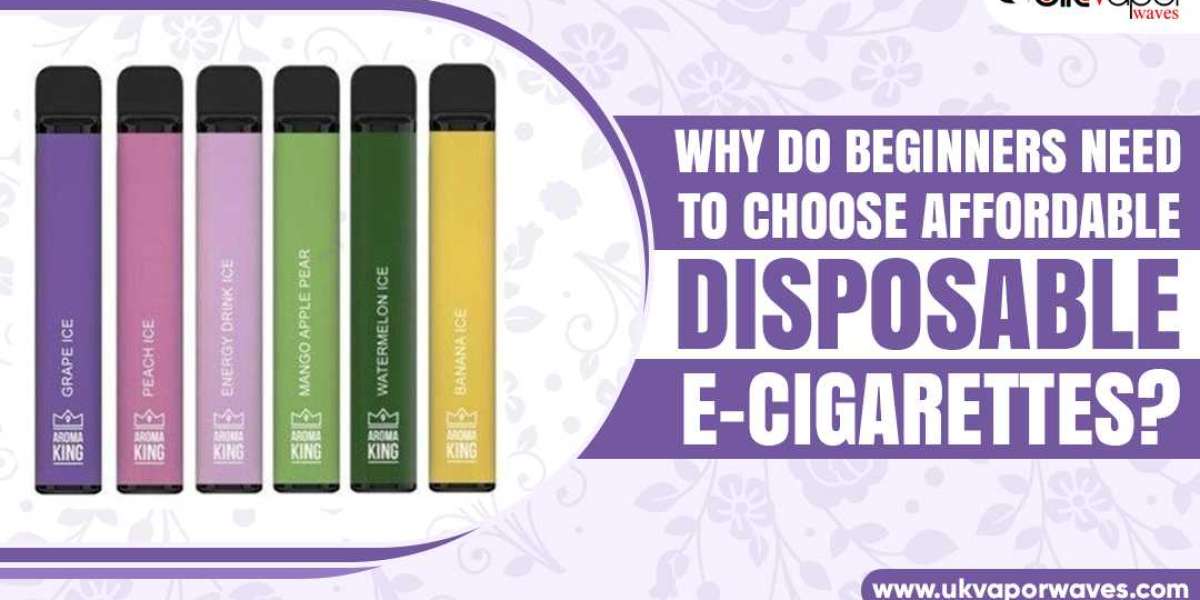 Why Do Beginners Need To Choose Affordable Disposable E-cigarettes?