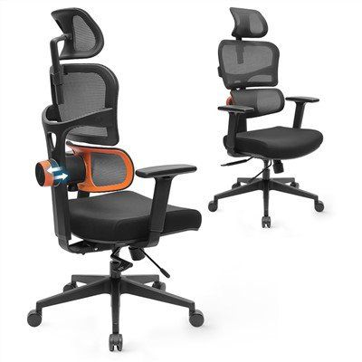 Customized Office Chair with Adaptive Lumbar Support Suppliers, Manufacturers, Factory - Wholesale Price - NEWTRAL