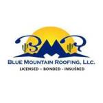 Blue Mountain Roofing Profile Picture