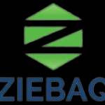 Ziebaq Technology Profile Picture