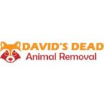 Dead Animal Removal profile picture