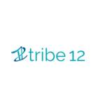 Tribe 12 Org Profile Picture