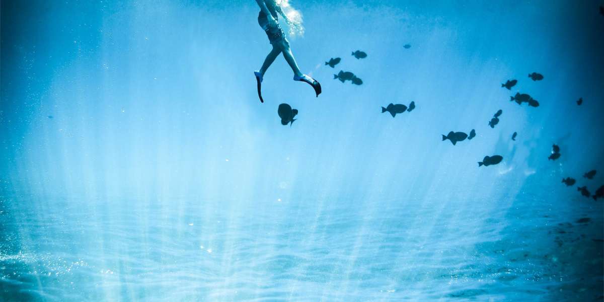 Difference between Snorkeling and Scuba diving