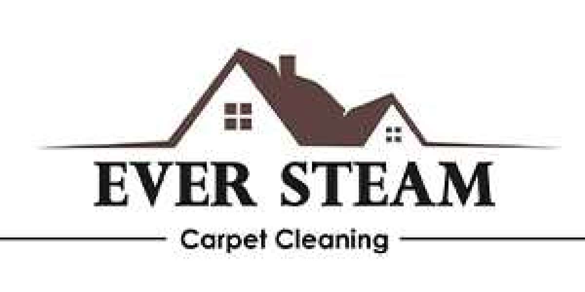 Carpet Cleaning Company in Denver