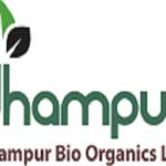 Dhampurbio Organics profile picture