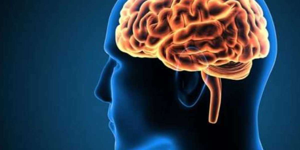 Mindful Wellness Brain Savior: Supplement, Price, Work, Ingredients, Original, Opinion,Buy!!