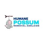 Humane Possum Removal Adelaide Profile Picture