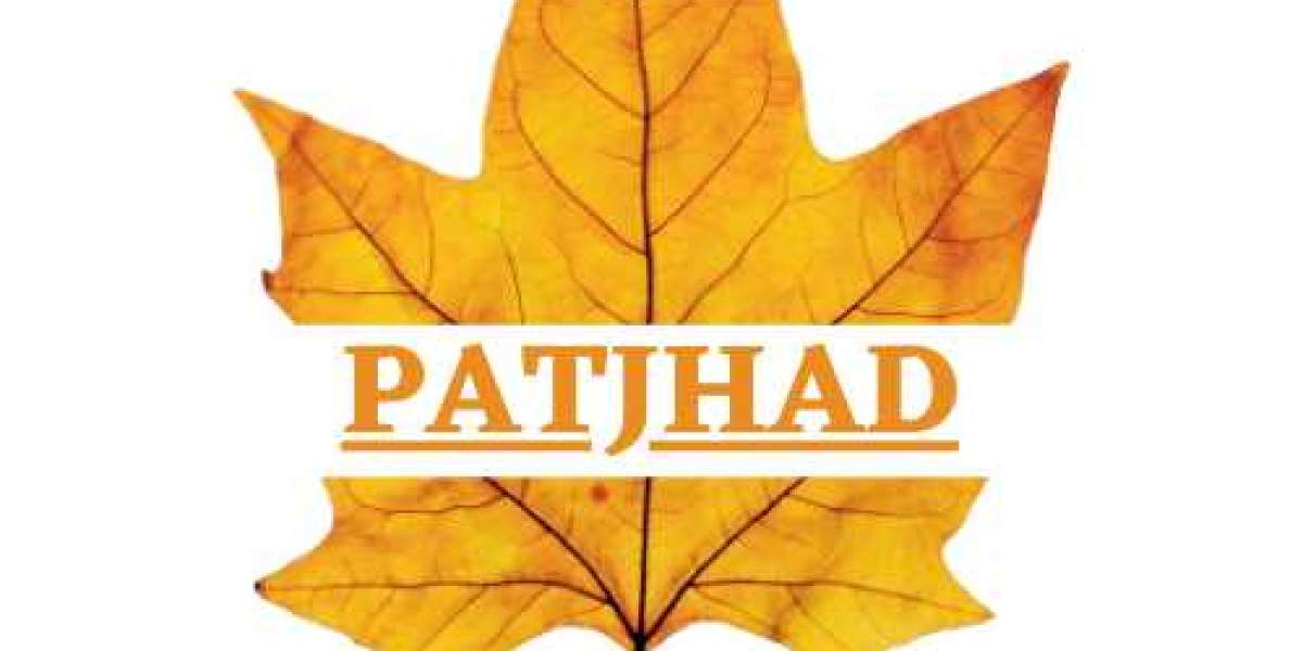 Patjhad - Latest Tips & Stories on Lifestyle, Fashion & More