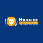 Humane Possum Removal Brisbane profile picture