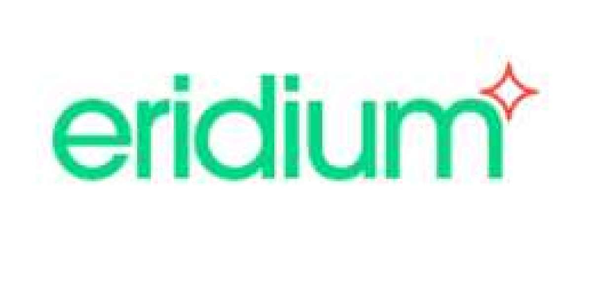 Eridium: Performance and Digital Marketing Company