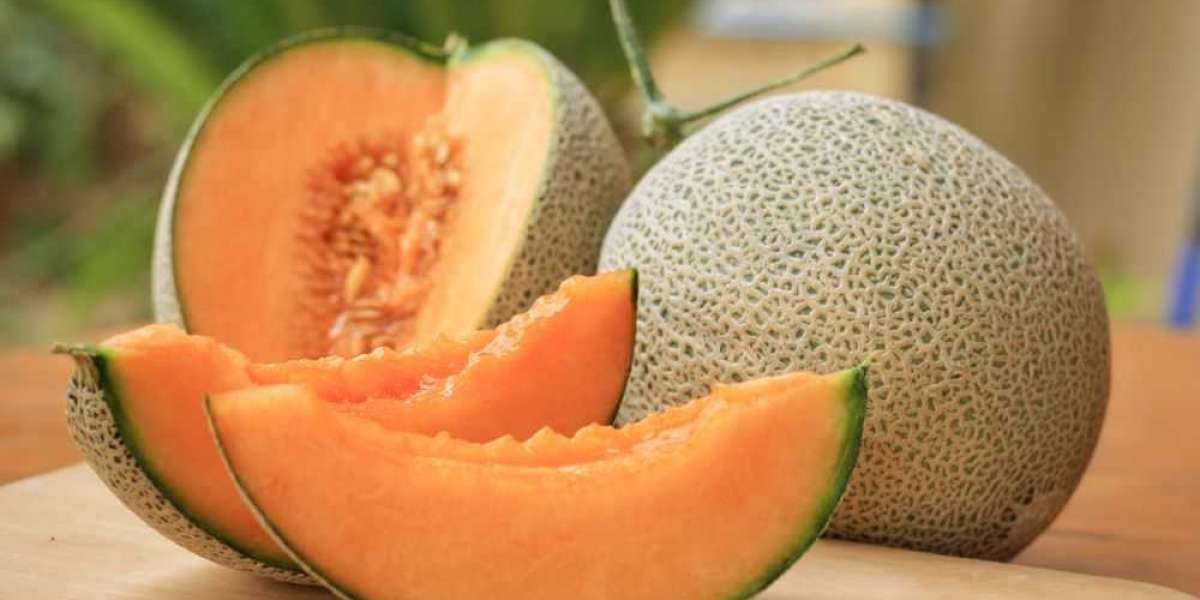 The Main 6 Advantages of Eating Galia Melon