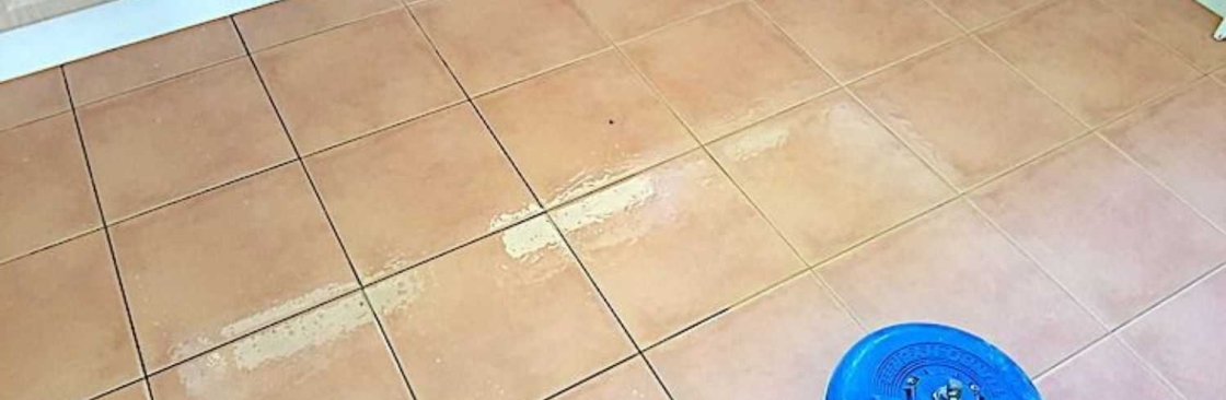 Rejuvenate Tile Grout Cleaning Cover Image