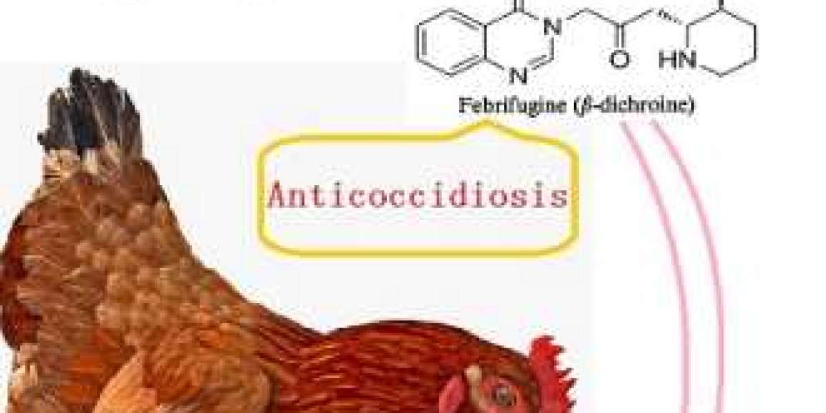 Poultry Anti-coccidiosis against malaria medicinal herb-Nutra Herb