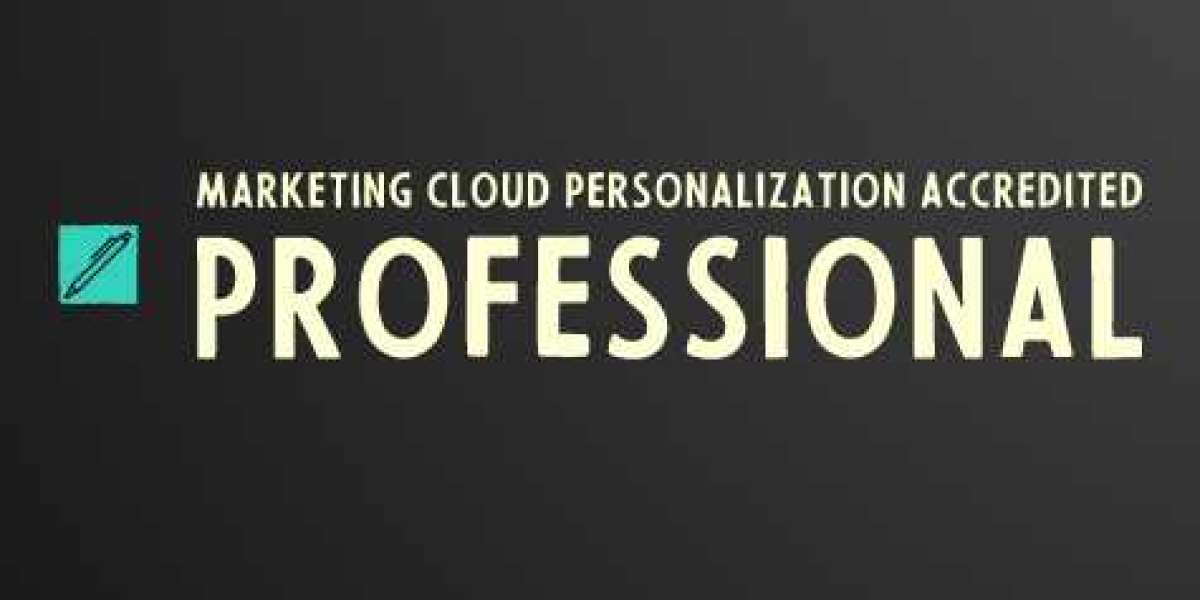 Marketing Cloud Personalization Accredited Professional  practice test