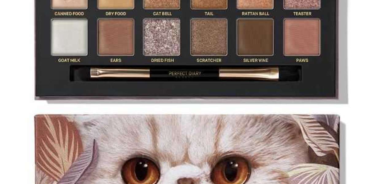To know more about perfect diary eyeshadow to use