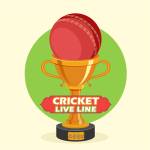 Cricket App profile picture