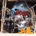 No Dogs Left Behind Profile Picture