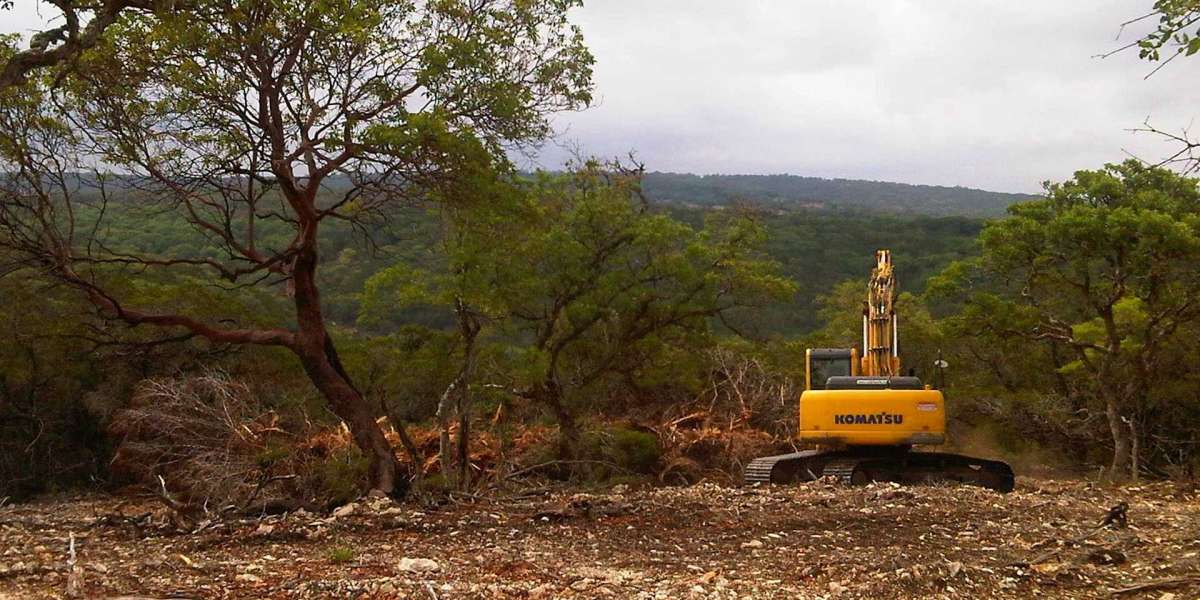 Advice For Choosing Environmentally Safe Land Clearing Services
