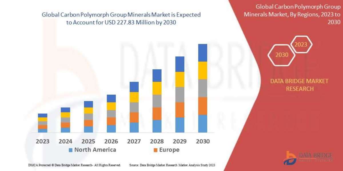 Carbon Polymorphs Group Minerals Market Demand, Business Strategies by 2030