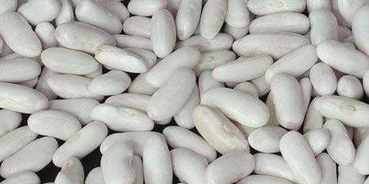 White Beans - Supplement For Weight Loss
