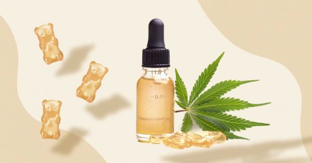 Can CBD Oil Help With Seizures And Epilepsy? Article - ArticleTed -  News and Articles