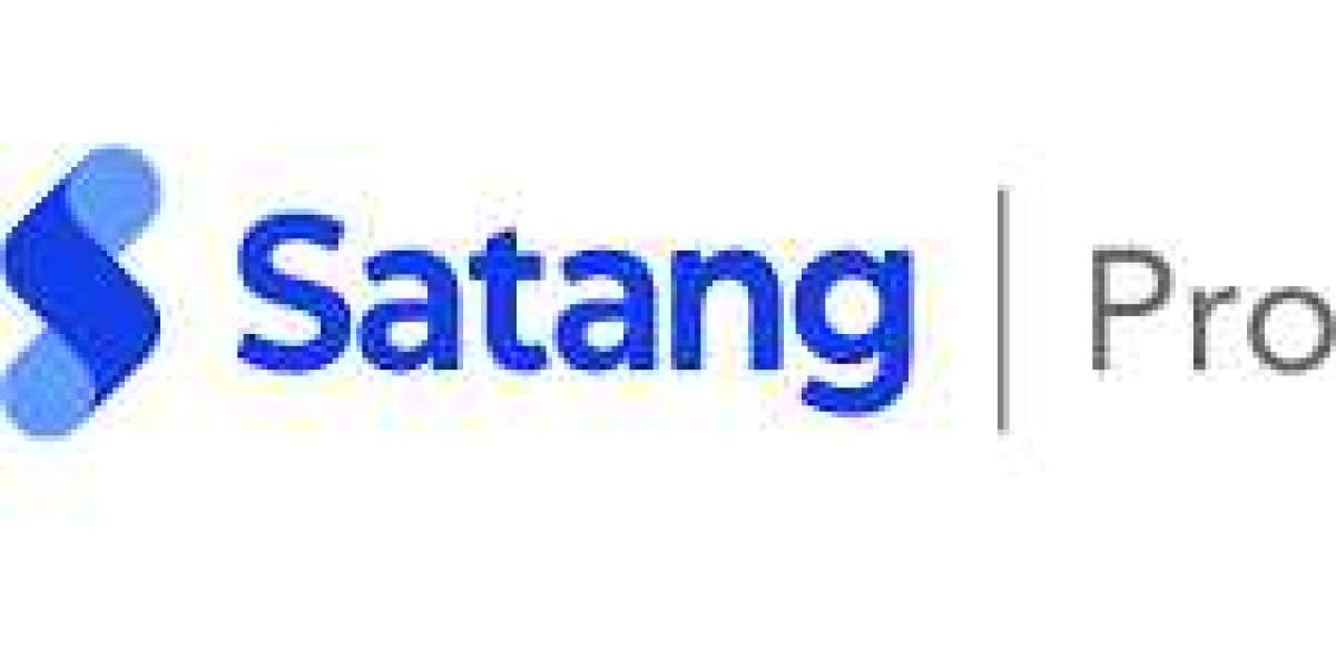 Analyzing the fees structure of Satang Pro