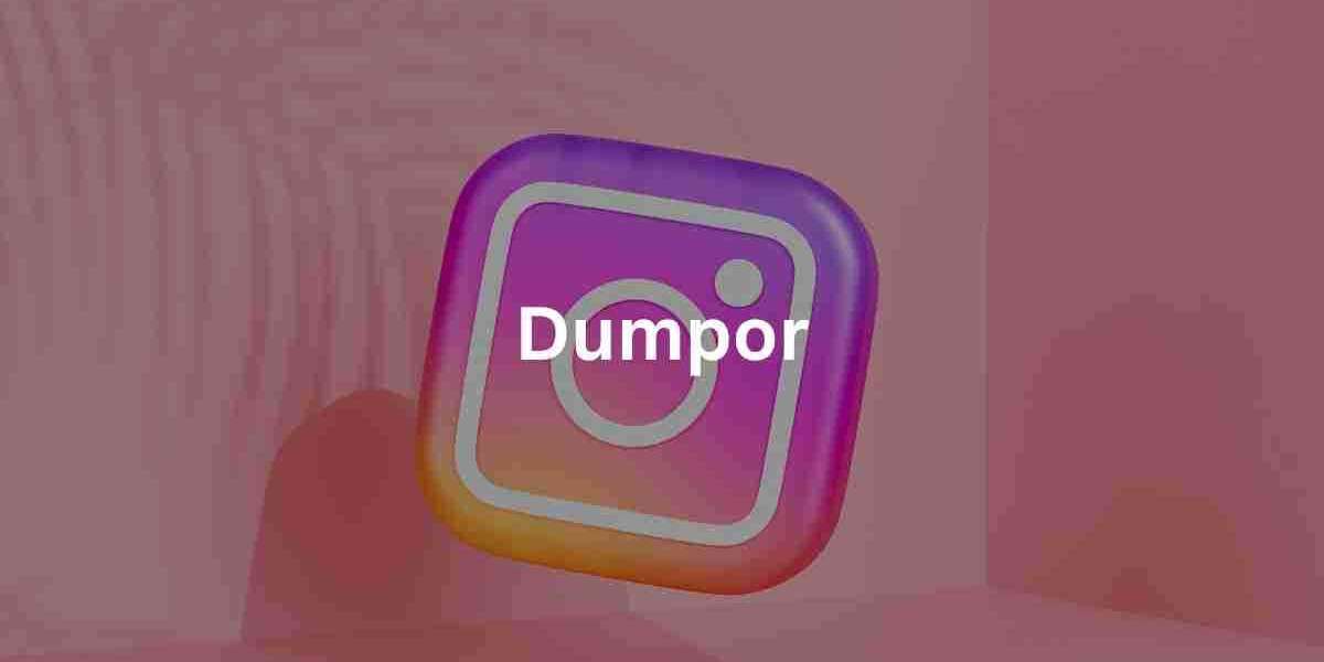 Dumpor: Instagram Anonymous Story Viewer and Alternatives